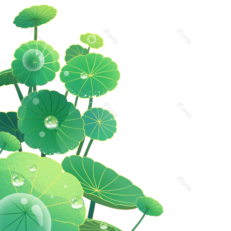 荷花图片,夏天元素,春季PNG,春天免抠素材